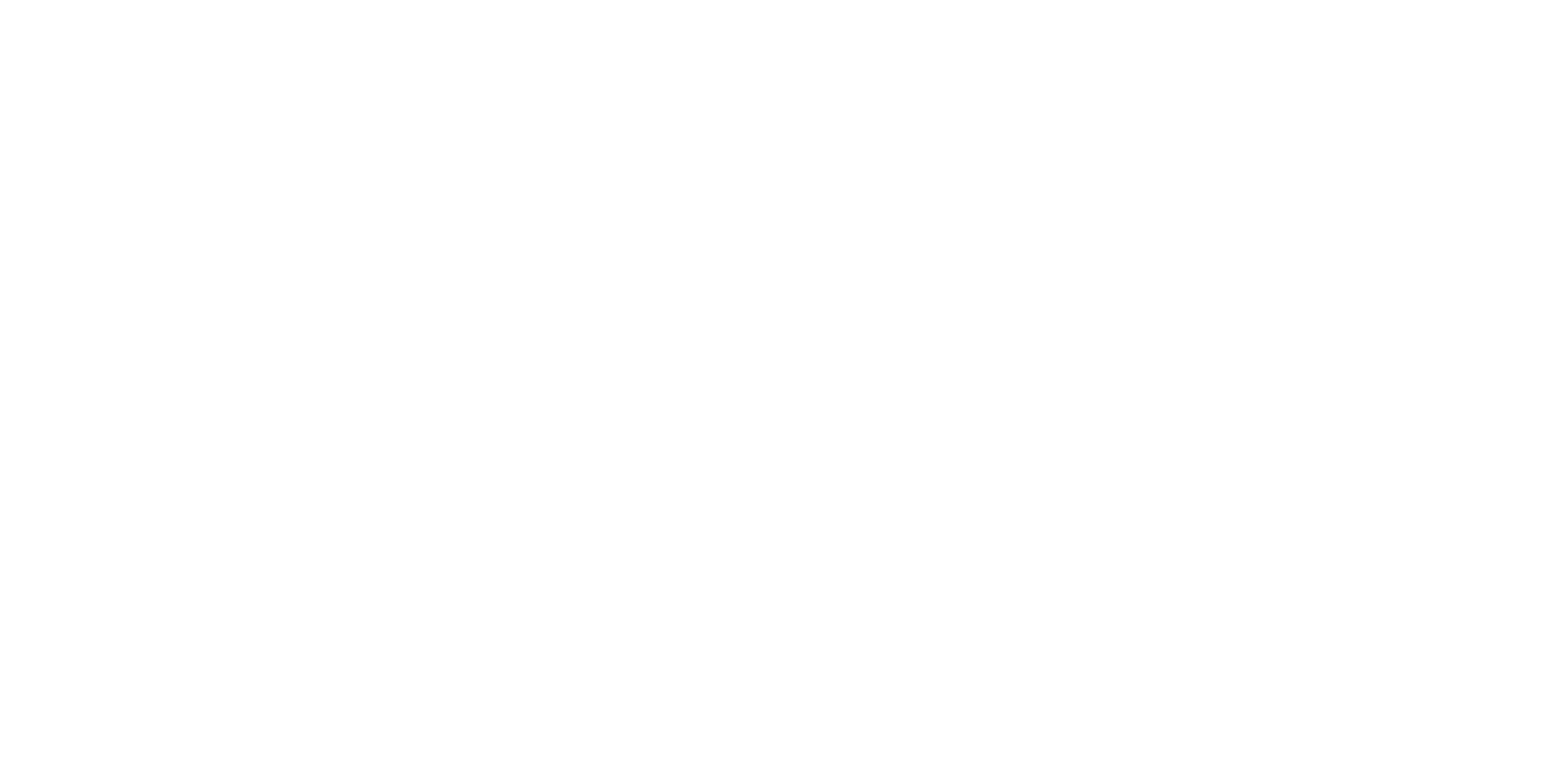 Steve P Brady